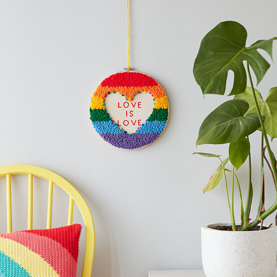 Pride%5Fpunch%2Dneedle%2Dhoop.jpg?sw=554&q=85