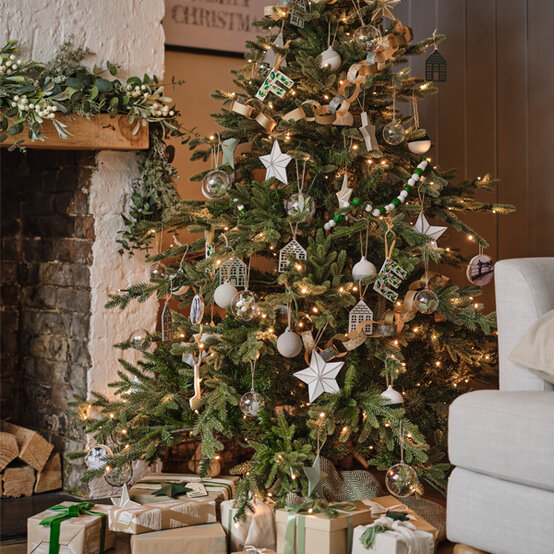 idea_botanical-round-up_tree.jpg?sw=554&q=85