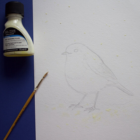 paint_a_watercolour_robin_painting_step_2.jpg?sw=554&q=85