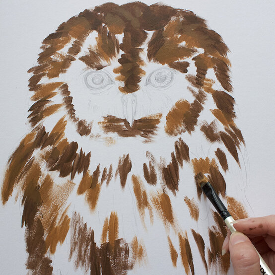 how_to_paint_acrylic_owl_layer_midtones_3-1000-pixels.jpg?sw=554&q=85