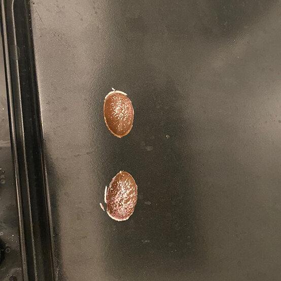 Idea_how-to-make-speckled-chocolate-mini-eggs_step5a.jpg?sw=554&q=85