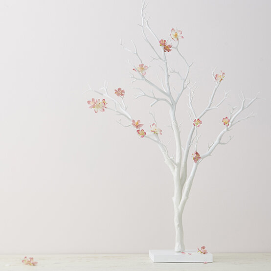 white-twig-tree-alternative2.jpg?sw=554&q=85