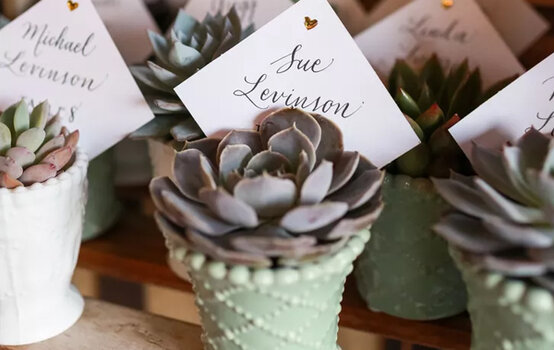 place-card.jpg?sw=554&q=85