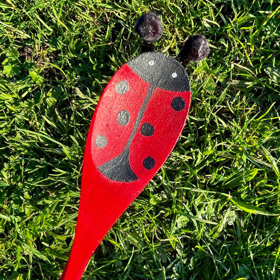 idea_how-to-make-story-spoons-ladybird_step5b.jpg?sw=554&q=85