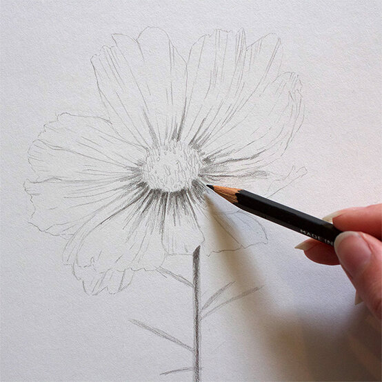 get-started-in-drawing-step3.jpg?sw=554&q=85