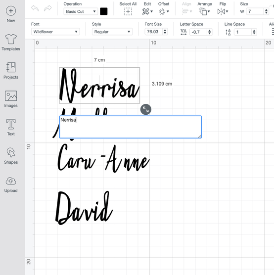 cricut_how_to_make_garden_party_name_cards_1.-name-cards.png?sw=554&q=85