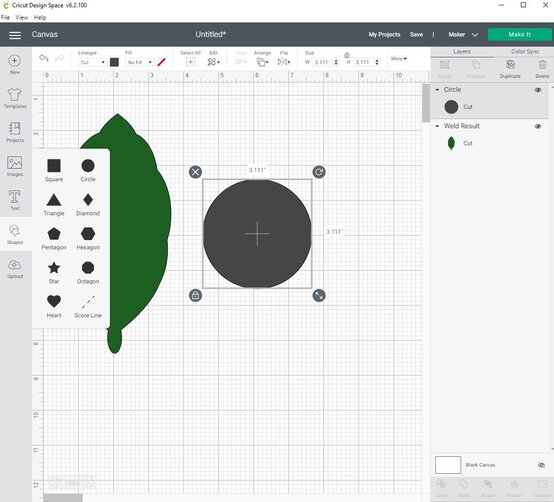 cricut_how_to_make_a_paper_calathea_ornata_plant_step6.jpg?sw=554&q=85