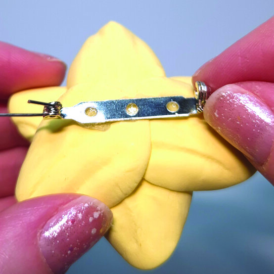 Daffodil%2Dbacking%5F1c.jpg?sw=554&q=85