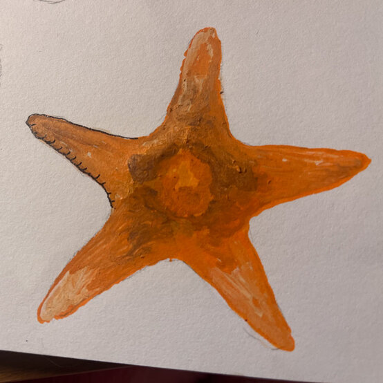 idea%5Fhow%2Dto%2Dillustrate%2Dwith%2Dpaint%2Dmarkers%2Dstarfish%5Fstep6.jpg?sw=554&q=85