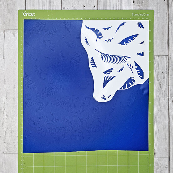 adhesive-vinyl-scrapbook-4.jpg?sw=554&q=85