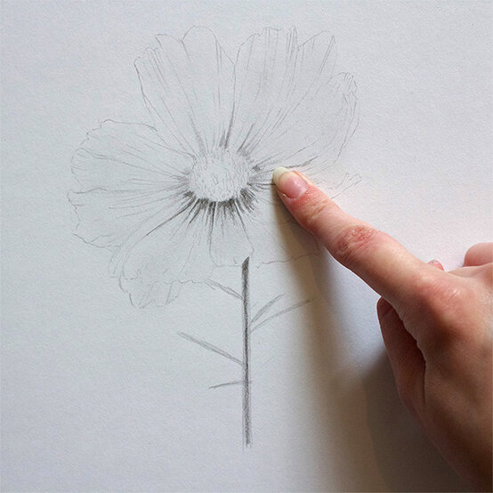 get-started-in-drawing-step4.jpg?sw=554&q=85