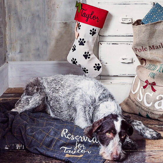 personalised-christmas-stocking-feature.jpg?sw=554&q=85