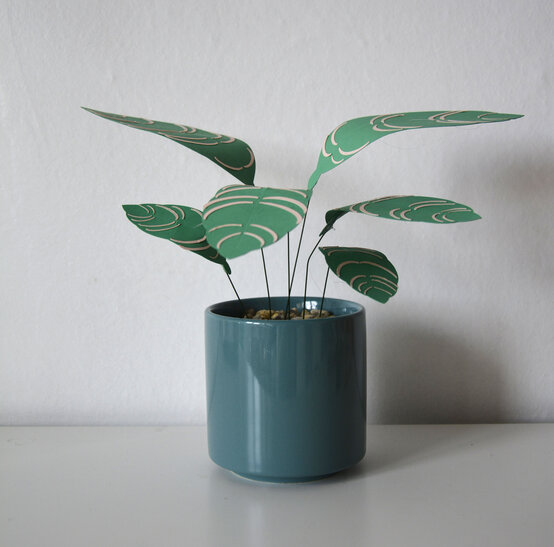 cricut_how_to_make_a_paper_calathea_ornata_plant_step16_3.jpg?sw=554&q=85