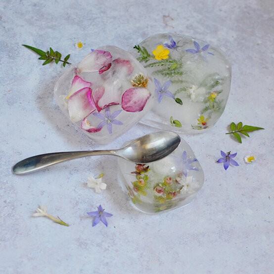 botanical%2Dice%2Dblocks.jpg?sw=554&q=85