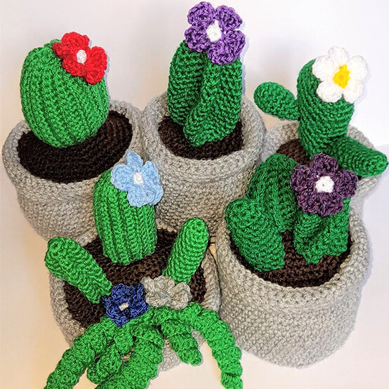 artisan-allix-empson-amigurumi-cacti.jpg?sw=554&q=85