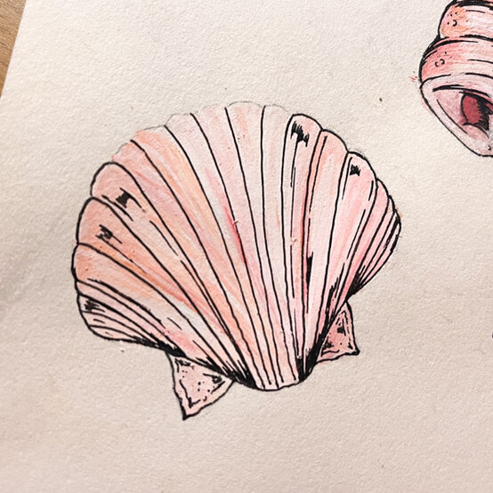 idea%5Fhow%2Dto%2Dillustrate%2Dwith%2Dpaint%2Dmarkers%2Dscallop%5Fstep6.jpg?sw=554&q=85