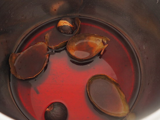 how_to_make_a_sustainable_picnic_napkins_2.jpg?sw=554&q=85