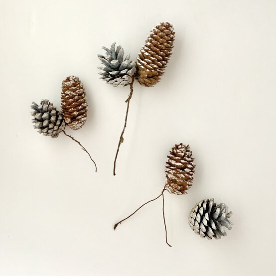 img_christmasfrostedwreathstep6.jpg?sw=554&q=85