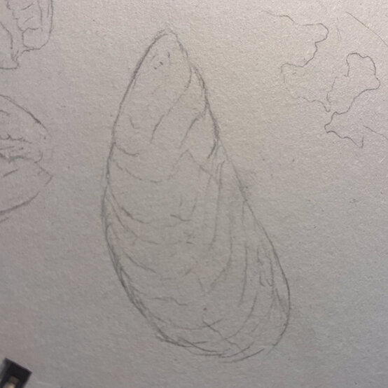 idea%5Fhow%2Dto%2Dillustrate%2Dwith%2Dpaint%2Dmarkers%2Dmussel%5Fstep1.jpg?sw=554&q=85