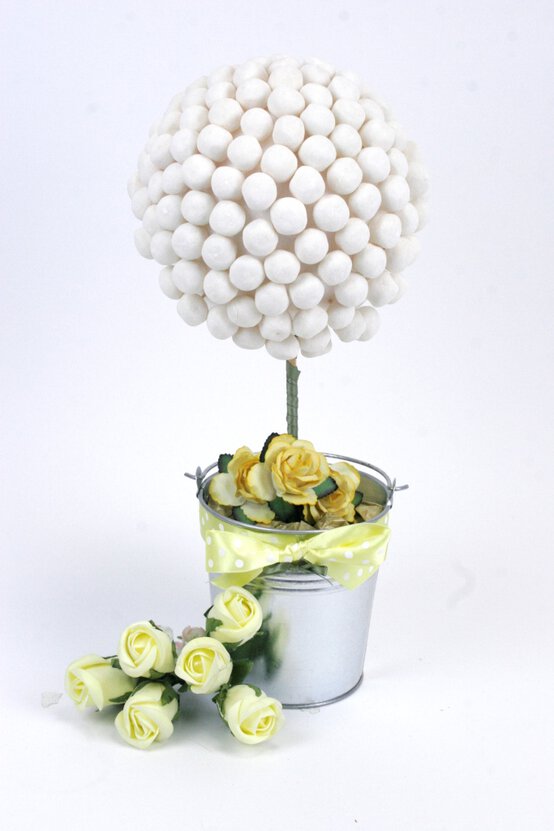 sweettree_image.jpg?sw=554&q=85