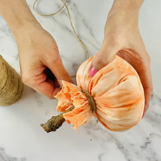 Tie%20Dye%20Pumpkins%20Image%2012.jpg?sw=554&q=85