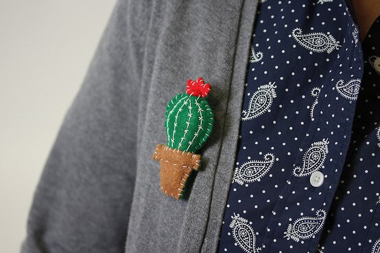 cactus-pin_blog-4.jpg?sw=554&q=85