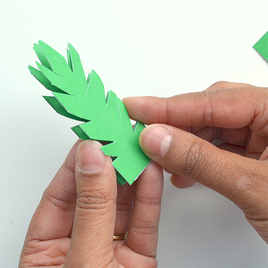 Palm1b.jpg?sw=554&q=85