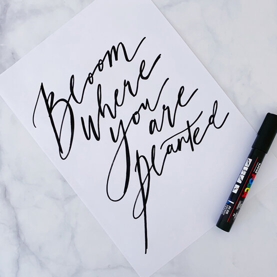 idea_get-started-in-brush-lettering_edlyl.jpg?sw=554&q=85