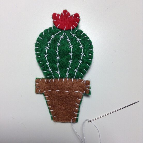 cactus-6.jpg?sw=554&q=85