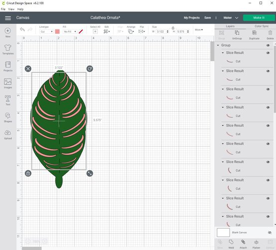 cricut_how_to_make_a_paper_calathea_ornata_plant_step9_2.jpg?sw=554&q=85