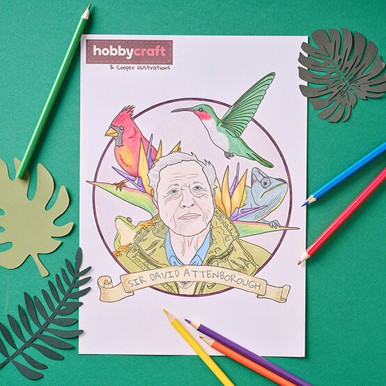 sir-david-attenborough-colouring-sheet.jpg?sw=554&q=85