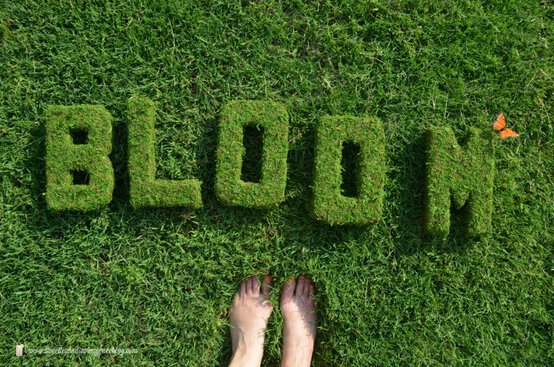 0042.jpg?sw=554&q=85