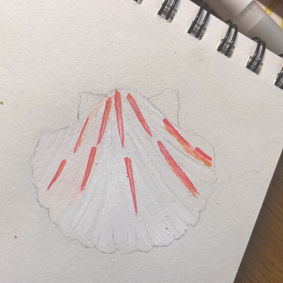 idea%5Fhow%2Dto%2Dillustrate%2Dwith%2Dpaint%2Dmarkers%2Dscallop%5Fstep1.jpg?sw=554&q=85