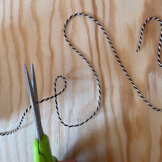 tassel-ghost_10a.jpg?sw=554&q=85