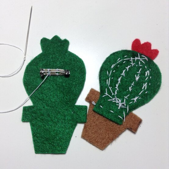 cactus-5.jpg?sw=554&q=85