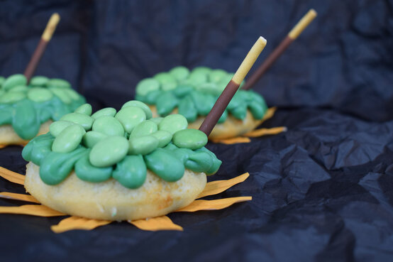 dsc_0076a-1.jpg?sw=554&q=85