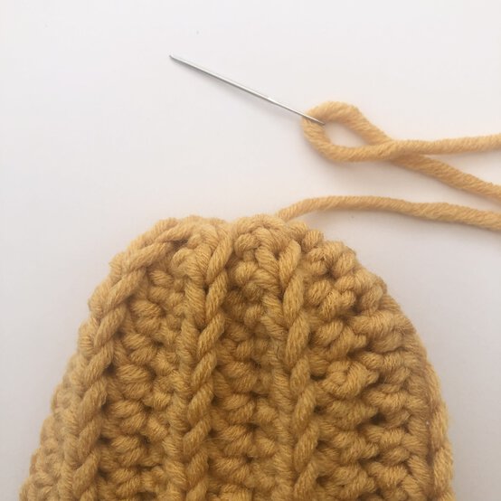 how-to-crochet-a-collection-of-pumpkins-step-1e.jpg?sw=554&q=85