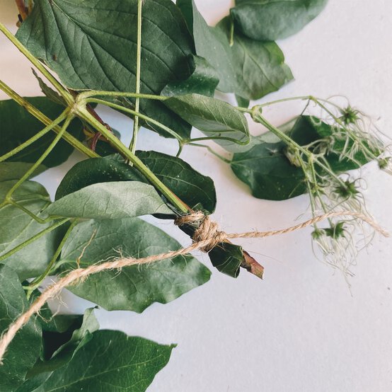 how_to_make_a_foraged_wreath_step_2b.jpg?sw=554&q=85