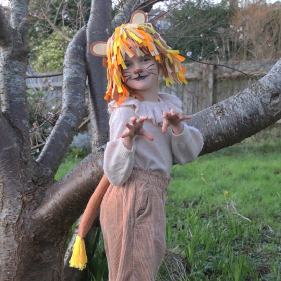 How-to-make-a-lion-costume-sq.jpg?sw=554&q=85