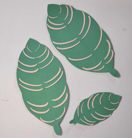 cricut_how_to_make_a_paper_calathea_ornata_plant_step12_2.jpg?sw=554&q=85