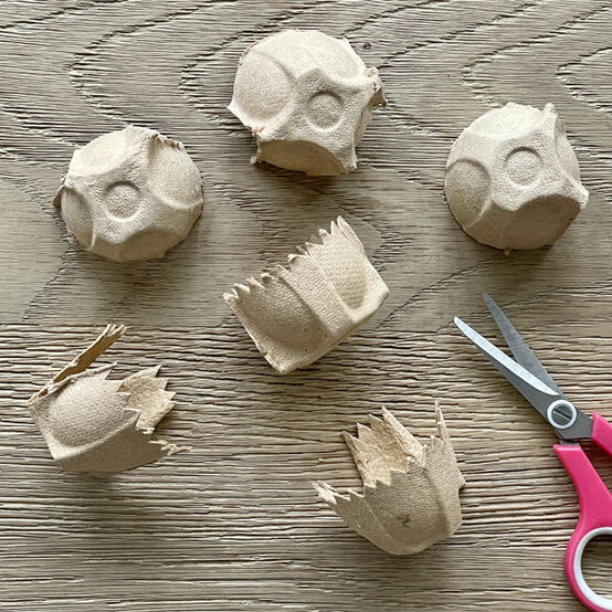 hatched%2Dchicks%5Fstep%2D1.jpeg?sw=554&q=85