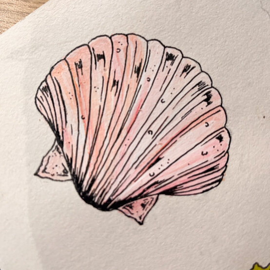 idea%5Fhow%2Dto%2Dillustrate%2Dwith%2Dpaint%2Dmarkers%2Dscallop%5Fstep7.jpg?sw=554&q=85