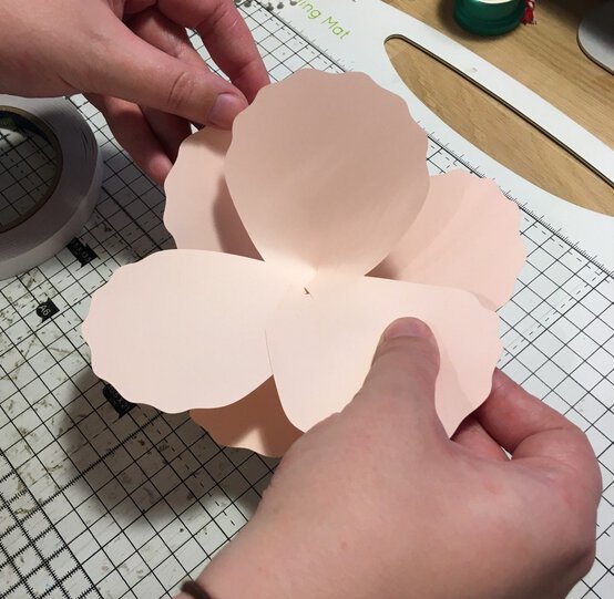 paperpeony_step14-e1551451875615.jpg?sw=554&q=85