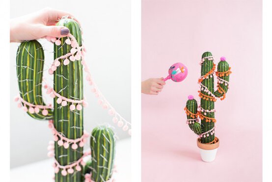 cactus-600x402.jpg?sw=554&q=85