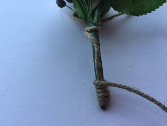 img_4402-773x580.jpg?sw=554&q=85