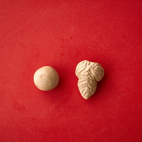 renshaw-dog-cake-bridget-1.jpg?sw=554&q=85