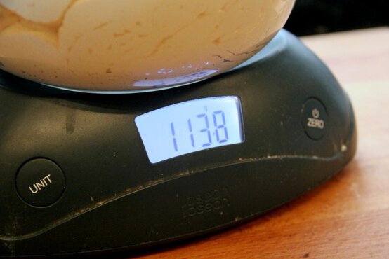 comp.2016-02-12-16.38.03-1024x683.jpg?sw=554&q=85