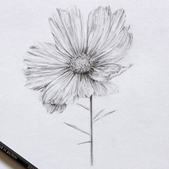 idea_get-started-in-drawing_charlotte.jpg?sw=554&q=85