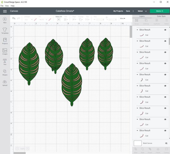 cricut_how_to_make_a_paper_calathea_ornata_plant_step10.jpg?sw=554&q=85
