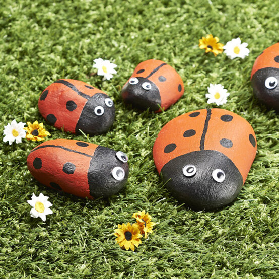 ladybird-rock-pets.jpg?sw=554&q=85